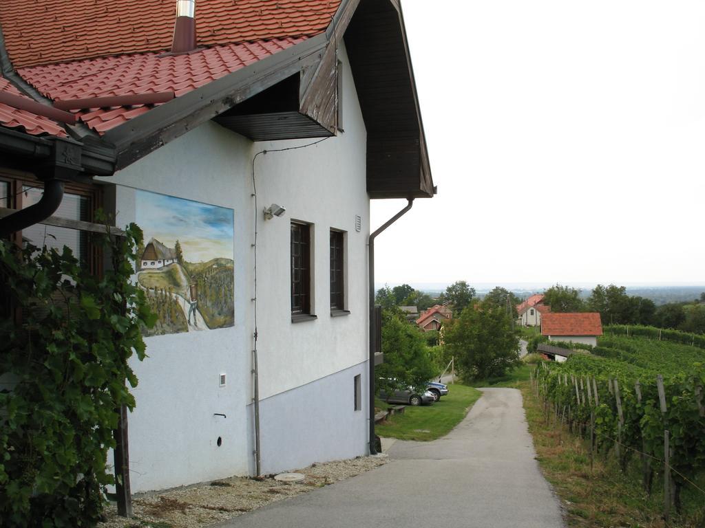 Vila Turisticna Kmetija Dervaric Ljutomer Exteriér fotografie