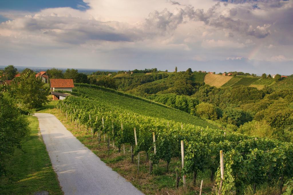 Vila Turisticna Kmetija Dervaric Ljutomer Exteriér fotografie
